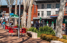 RIVONIA CROSSING 2